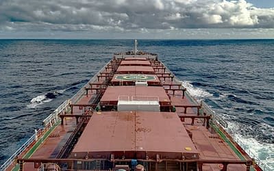Más problemas para conseguir dólares: las exportaciones agroindustriales, limitadas por un colapso en los volúmenes de carga marítima
