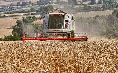 Empresarios agrícolas del norte bonaerense presentaron amparos para intentar detener el cobro indebido de retenciones
