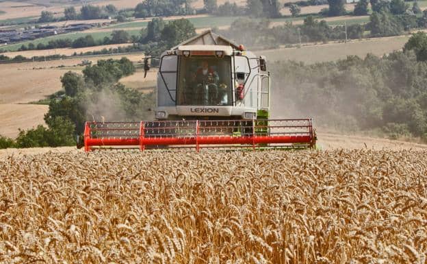 Empresarios agrícolas del norte bonaerense presentaron amparos para intentar detener el cobro indebido de retenciones